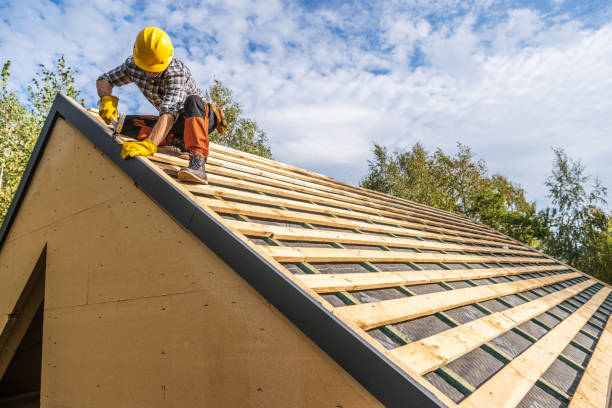 Roof Gutter Cleaning in Lake Elsinore, CA